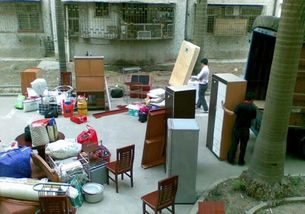 專業(yè)免費(fèi)上門(mén)大件貨物、摩托車電動(dòng)車及寵物托運(yùn)信息咨詢服務(wù)